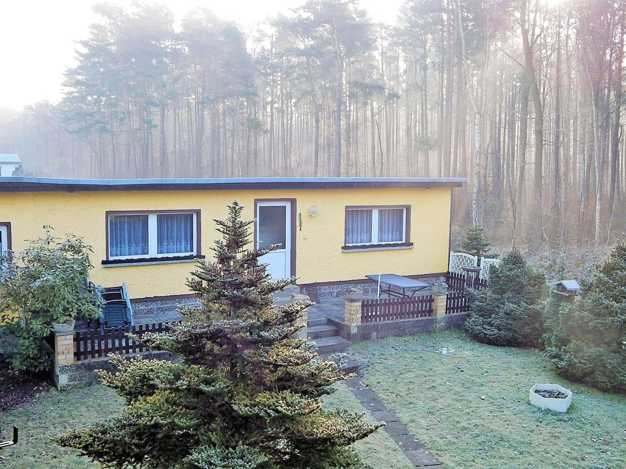 Ferienhus Baabe Fewo 01 Terrasse, Sauna- Und Schwimmbadnutzung Im Ahoi Sellin المظهر الخارجي الصورة